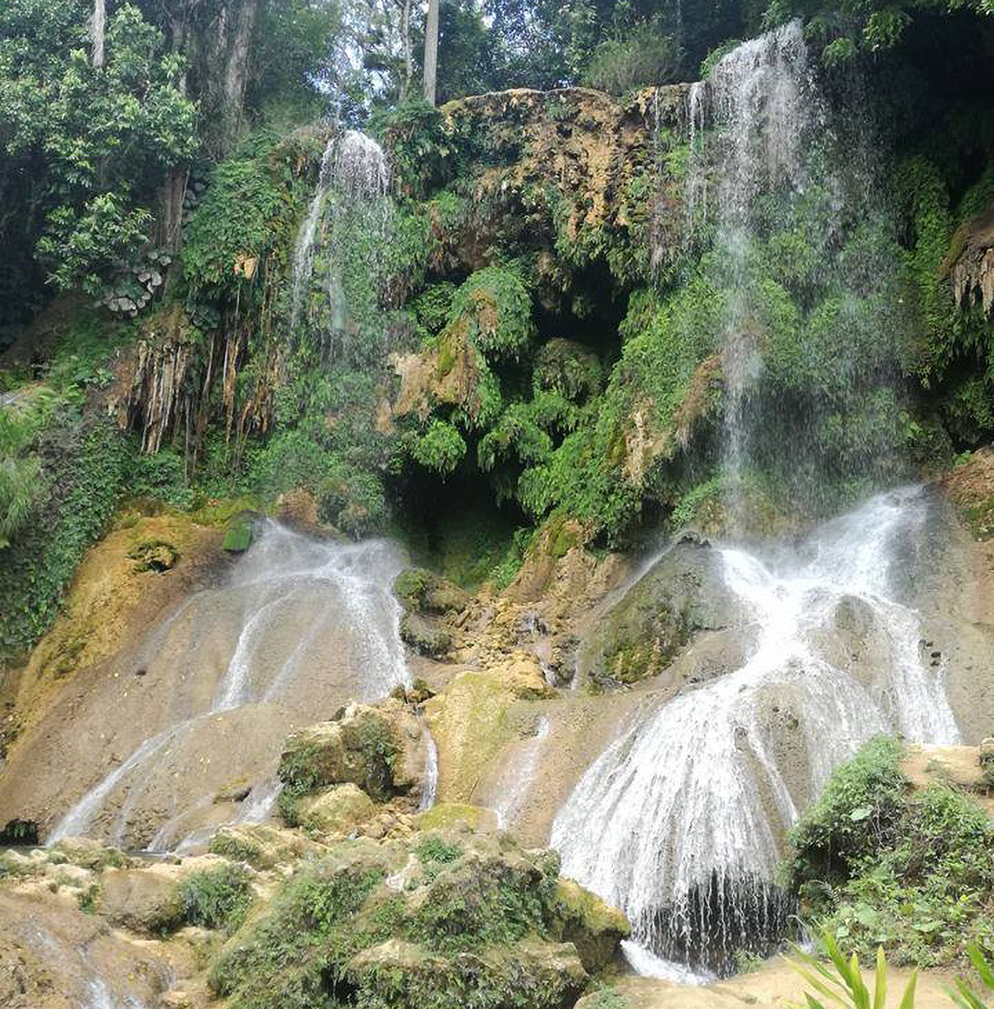 My Image 7