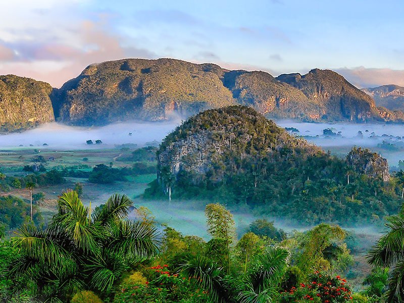 vinales charming