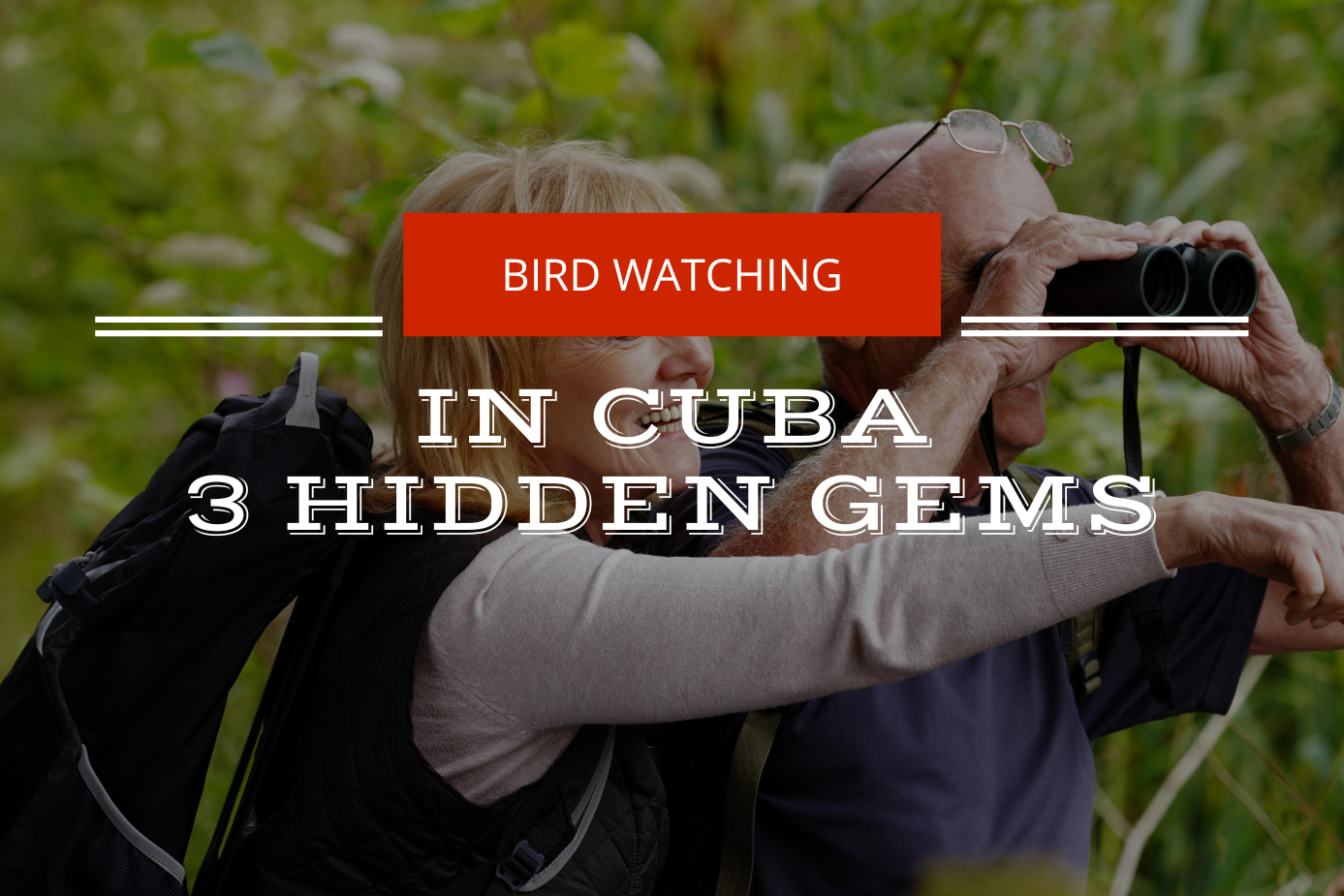bird-watching-in-cuba-cover